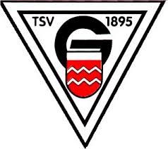 Logo TSV Geislingen 1895 e.V.
